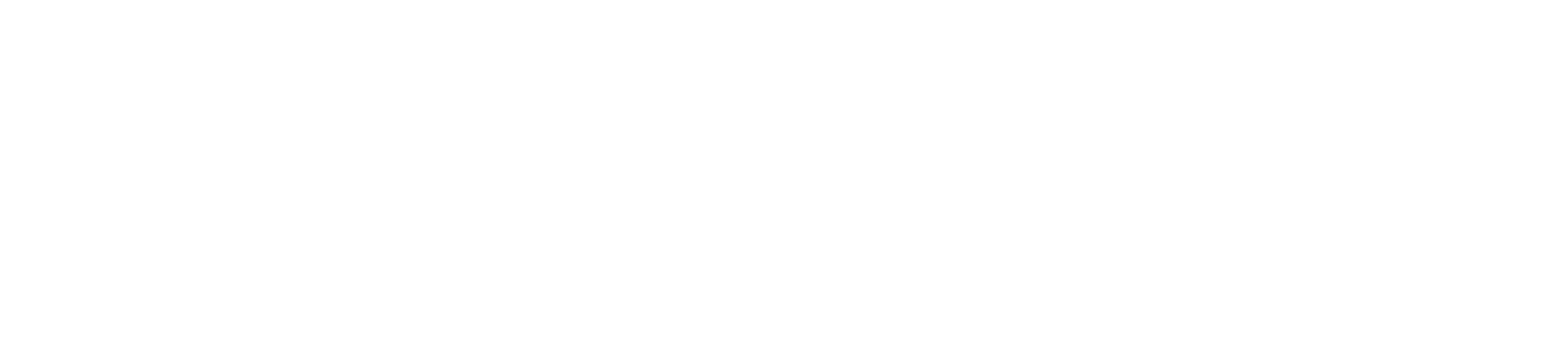 Altvision Web